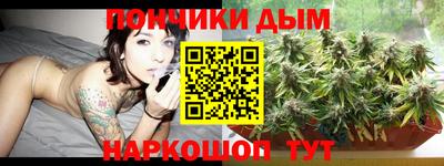 сатива Заводоуковск