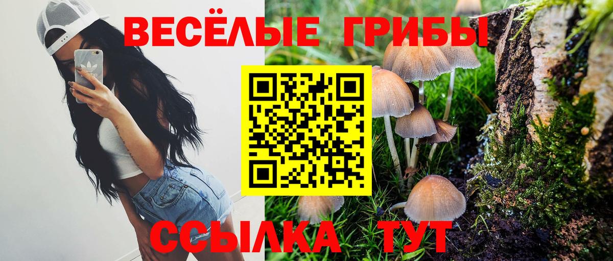 Галлюциногенные грибы GOLDEN TEACHER Наро-Фоминск